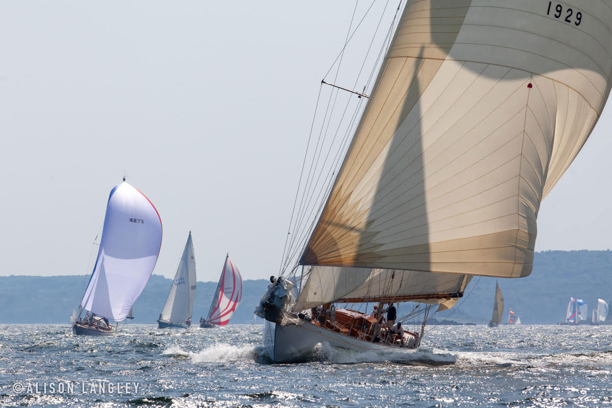 A photo of sailboat Anna heading downwind amongst many other colorful boats.